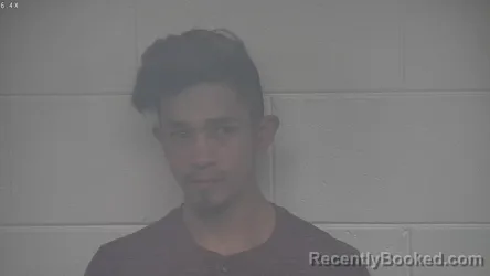 Mugshot of DERLIN PEREIDA
