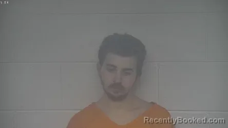 Mugshot of JESSIE JAMES BURGIN