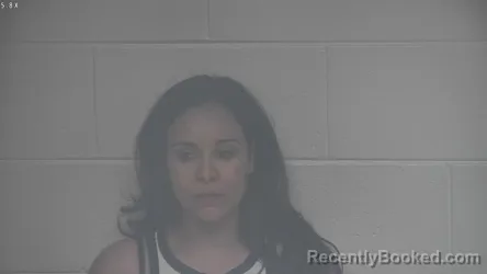 Mugshot of JANA METRY booked in Carroll County, Kentucky on August 2, 2026
