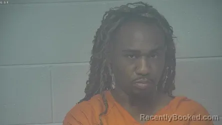 Mugshot of LANCE N JOHNSON JR