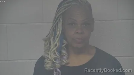 Mugshot of MICHELLA MAE HINTON