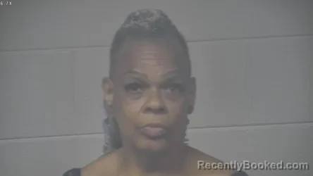 Mugshot of MICHELLA HINTON booked in Carroll County, Kentucky on April 28, 2026