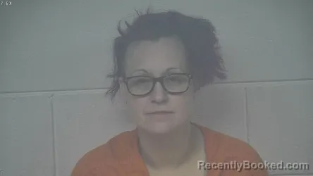 Mugshot of MELISSA TURNER
