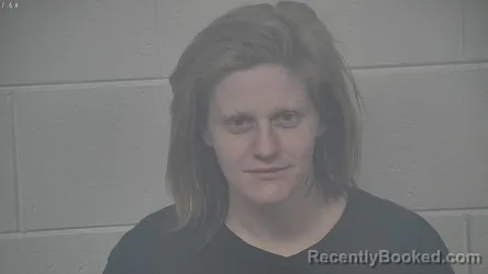 Mugshot of SHEYANE HOWARD