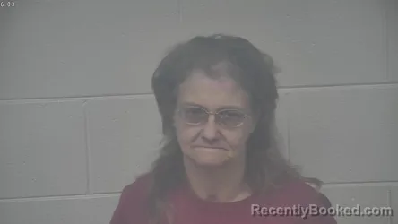 Mugshot of THERESA STIVERS booked in Carroll County, Kentucky on July 23, 2026