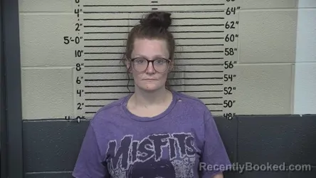 Mugshot of ASHLEY E SALINAS