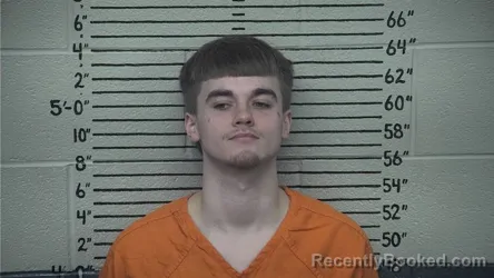 Mugshot of BRYSON W CRIDER