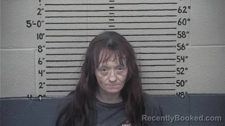 Mugshot of CARI HAYES
