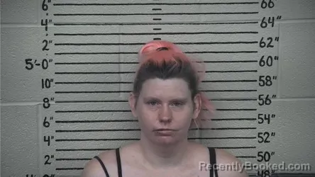 Mugshot of CHRISTIN WALKER