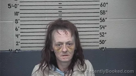 Mugshot of CARI HAYES booked in Carter County, Kentucky on April 16, 2026