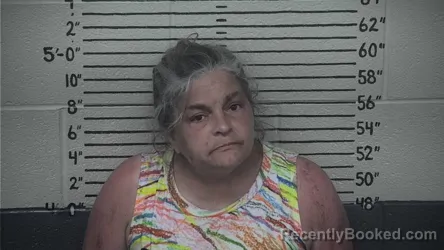 Mugshot of DIANA L LAYNE booked in Carter County, Kentucky on July 28, 2026