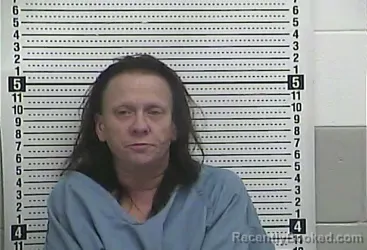 Mugshot of ANNA DEVINE