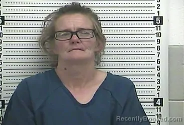 Mugshot of AMANDA J. LAY