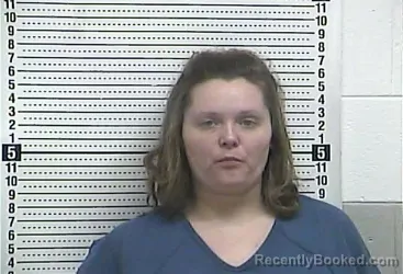 Mugshot of ALLISON T NAPIER booked in Casey County, Kentucky on June 24, 2026