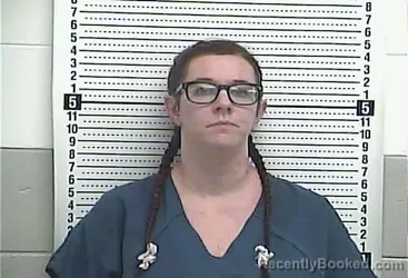 Mugshot of ASHLEY WELCH