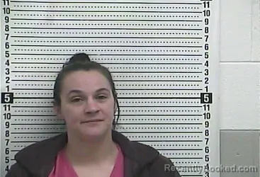 Mugshot of AMBER N WILHAM