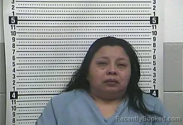 Mugshot of BERNARDINA MENDEZ-LOPEZ