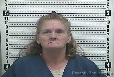 Mugshot of BRENDA LOU WILLIAMSON