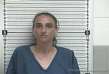 Mugshot of Crystal R Allen