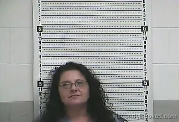 Mugshot of CHRISTINA D DUNCAN