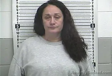 Mugshot of CHRISTINA VILLALOBOS