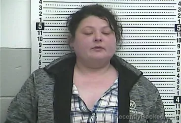 Mugshot of DEANNA N MCANINCH