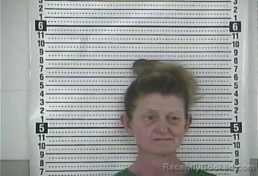 Mugshot of ELIZABETH M SALLEE booked in Casey County, Kentucky on June 11, 2026