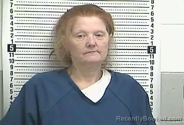 Mugshot of GLENDA J HOLCOMB