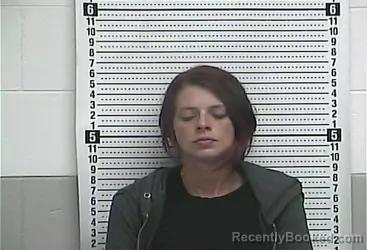 Mugshot of HOLLY D WILSON booked in Casey County, Kentucky on August 3, 2026