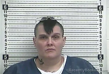 Mugshot of JESSICA ISON booked in Casey County, Kentucky on May 4, 2026
