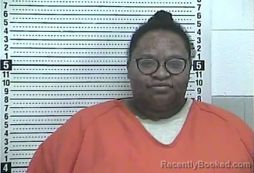 Mugshot of JONNESHIA LEWIS booked in Casey County, Kentucky on April 28, 2026