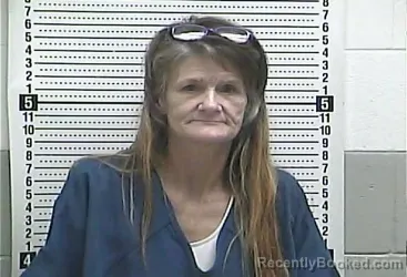 Mugshot of JENNIFER M VANWINKLE booked in Casey County, Kentucky on July 17, 2026