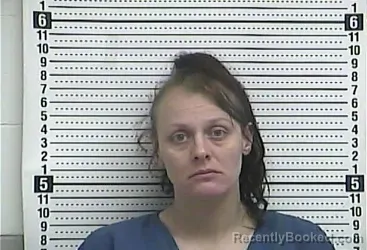 Mugshot of LINDSEY LAWSON booked in Casey County, Kentucky on June 9, 2026