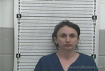 Mugshot of LYNN ROBERTSON