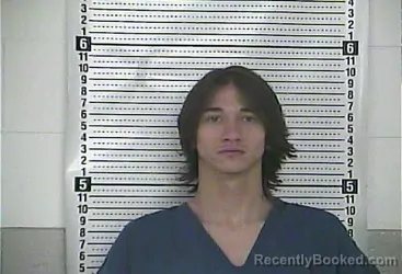 Mugshot of LOGAN D WILKERSON