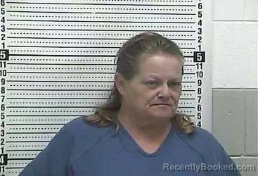 Mugshot of MISTY DAWN HATTER  BORDEN booked in Casey County, Kentucky on July 3, 2026