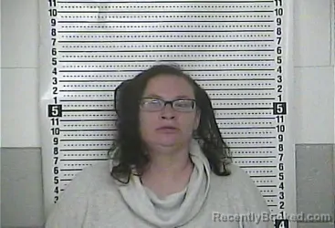 Mugshot of MEGAN M WEAVER