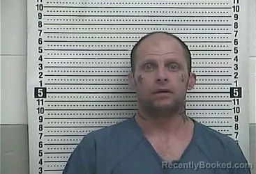 Mugshot of RONNIE D JOHNSON