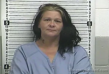 Mugshot of RITA MCMICHAEL booked in Casey County, Kentucky on July 6, 2026