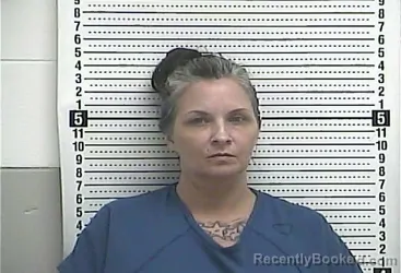 Mugshot of Stephanie M Davis booked in Casey County, Kentucky on October 22, 2026