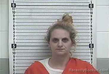 Mugshot of SHANNON DAMRELL