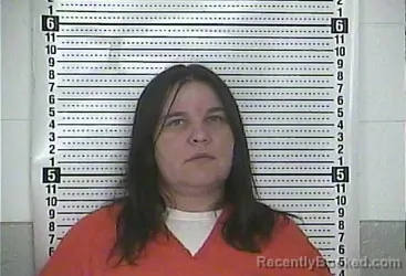 Mugshot of SARAH FIREBAUGH