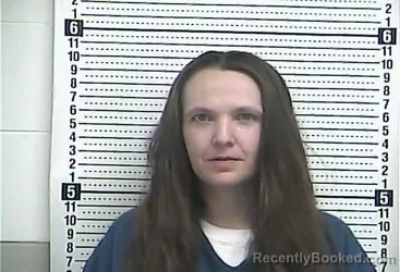 Mugshot of SHEILA MANN
