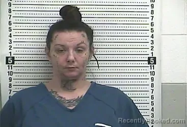Mugshot of SHONA N MESSER booked in Casey County, Kentucky on May 4, 2026