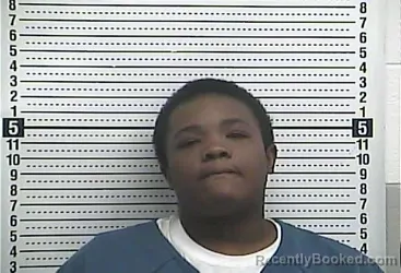 Mugshot of SAKENA L WILLIAMS booked in Casey County, Kentucky on April 6, 2026