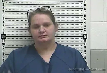 Mugshot of TONYA HOBBS booked in Casey County, Kentucky on June 25, 2026
