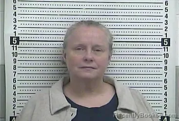 Mugshot of TERRI L MORGAN