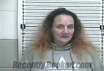 Booking photo from Casey County, Kentucky
