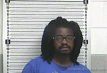 Mugshot of TEVIN WILLIAMS booked in Casey County, Kentucky on July 17, 2026