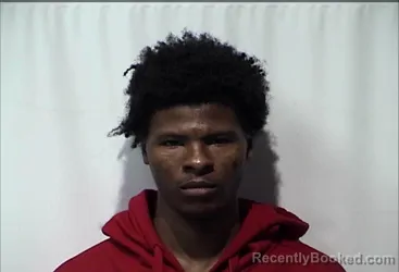 Mugshot of LESLIE BEENE-LITTLE